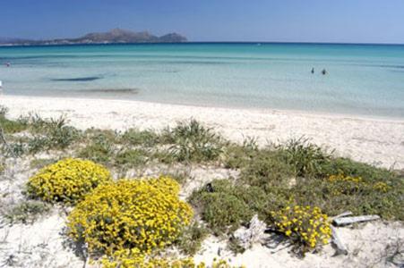 Apartment Alcudia Ocean View Ngoại thất bức ảnh